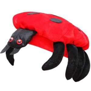 Cappello Coccinella Accessorio Di Carnevale