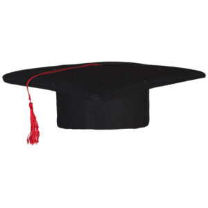 Cappello Laurea Accessorio Di Carnevale