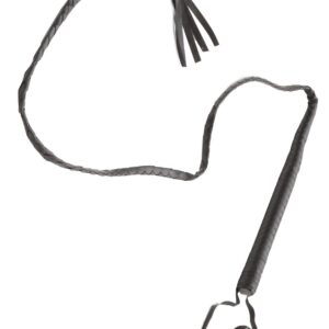 Frusta Accessorio Di Carnevale