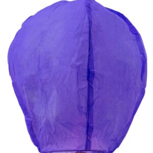 Lanterna Viola Accessorio Di Carnevale - immagine 1