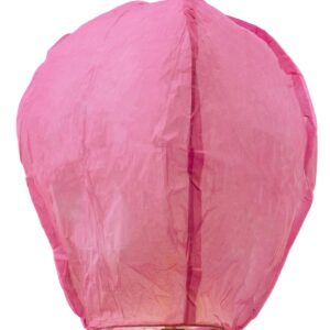 Lanterna Fuxia Accessorio Di Carnevale