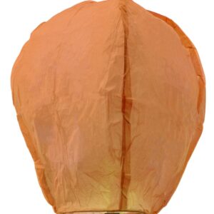 Lanterna Arancione Accessorio Di Carnevale