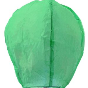 Lanterna Verde Accessorio Di Carnevale