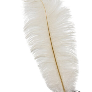 Piuma Charleston Paillettes Bianco Accessorio Di Carnevale - immagine 1