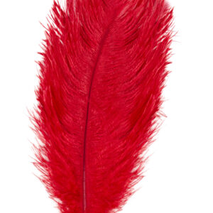 Piuma Rossa 30 Cm Accessorio Di Carnevale