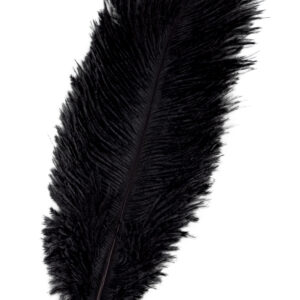 Piuma Nera 30 Cm Accessorio Di Carnevale