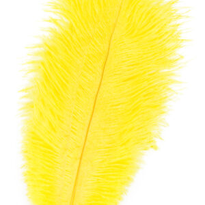 Piuma Giallo 30 Cm Accessorio Di Carnevale