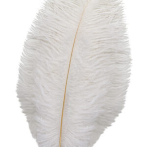 Piuma Bianca 30 Cm Accessorio Di Carnevale
