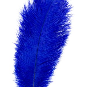 Piuma Royal 30 Cm Accessorio Di Carnevale