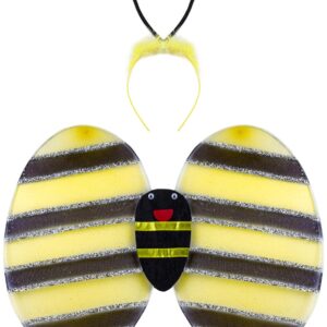 Set Ali Apetta Accessorio Di Carnevale - immagine 1