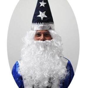 Set Parrucca+barba Mago Merlino  Accessorio Di Carnevale - immagine 1