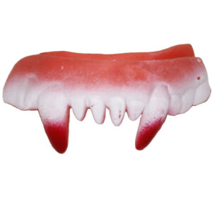 Denti Vampiro Accessorio Di Carnevale