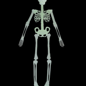 Scheletro Fluorescente  Accessorio Di Carnevale