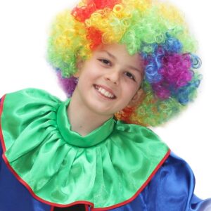 Parrucca Clown Ragazzo Accessorio Di Carnevale