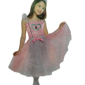 COSTUME DI CARNEVALE principessa rosa