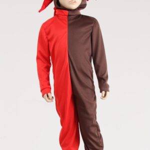 Costume Di Carnevale Recite Da Palmipedoni