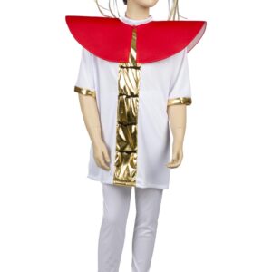 Costume Di Carnevale Recite Da Turandot